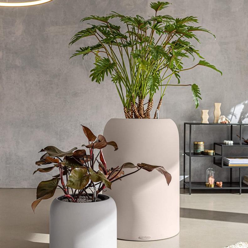 le_havalo_product_addi_02